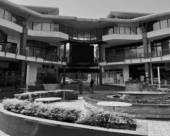 SA office 1